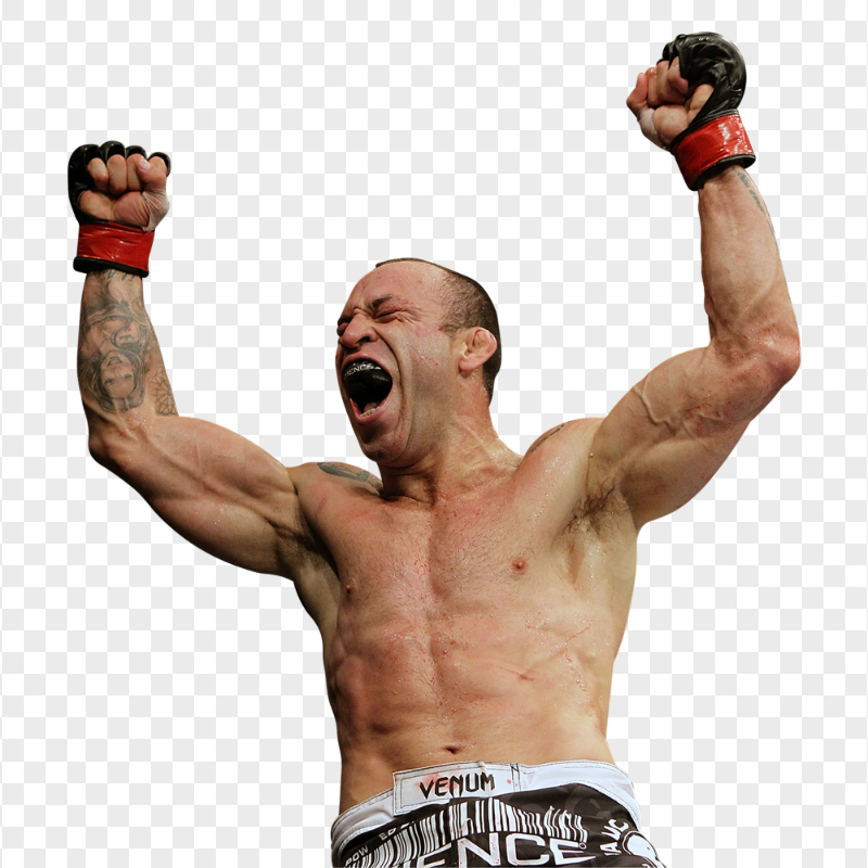 Wanderlei Silva Brazilian MMA Fighter Citypng