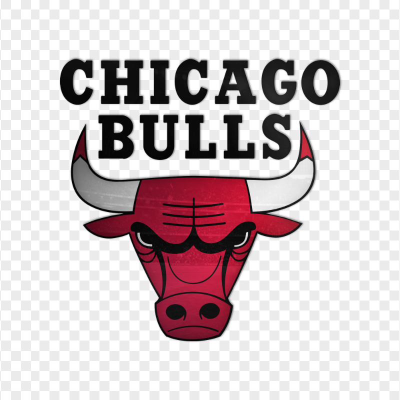 Chicago Bulls Basketball Team