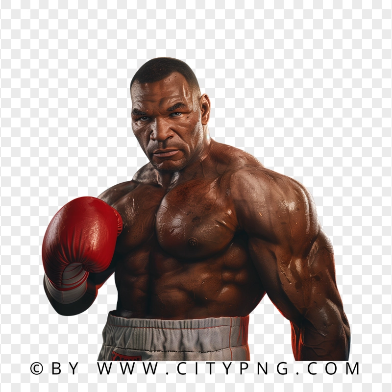 Jake Paul & Mike Tyson Boxing Face | Citypng