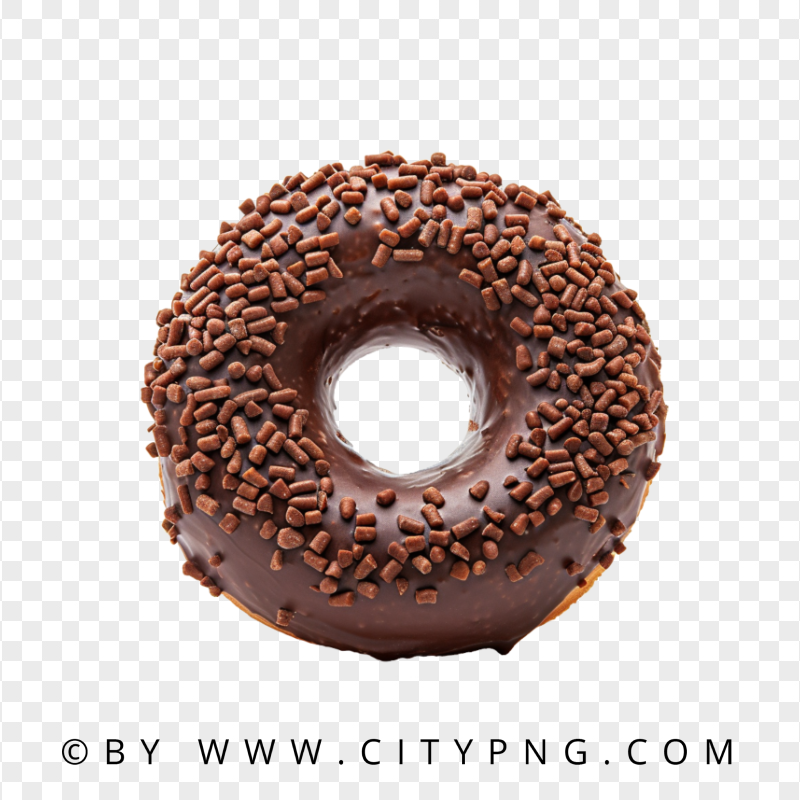 Rich Chocolate Donut with Crunchy Toppings