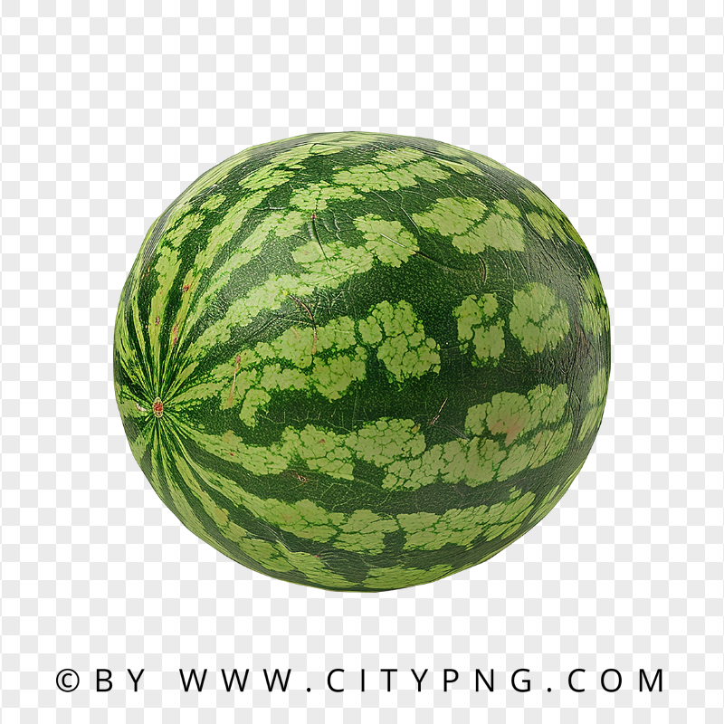 Realistic Watermelon Healthy Green Fruit for Summer Food