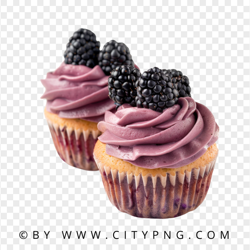 Pair Of Delicious Blackberry Cupcakes Transparent PNG