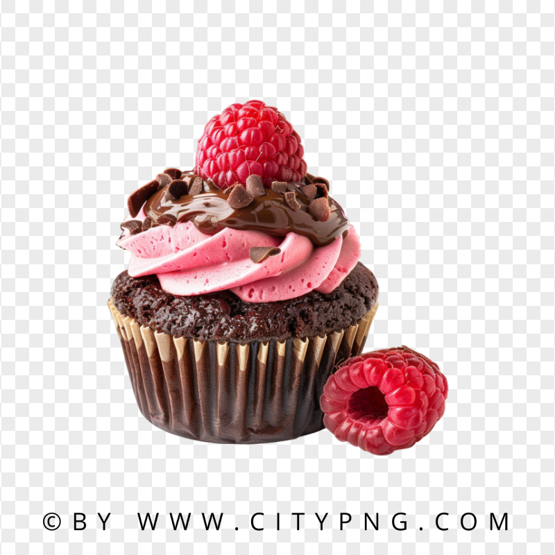 Rich Chocolate Cupcake With Red Raspberry