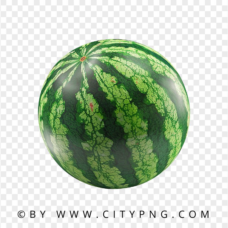 Fresh Green Watermelon with Realistic Texture